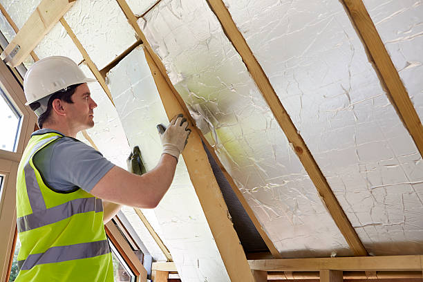Best Professional Insulation Contractor  in Lackawanna, NY