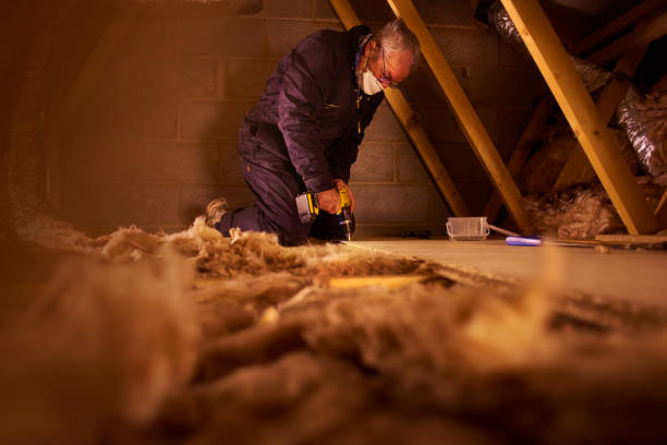 Best Professional Insulation Contractor  in Lackawanna, NY